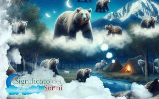 Sogni sugli orsi - Interpretazione e significato