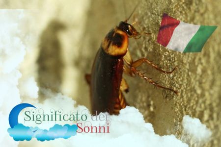 Sogni sugli scarafaggi - Significato e interpretazione